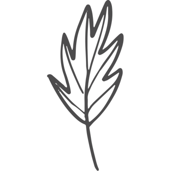 Sketche collection of woodland line png