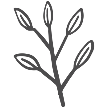 Sketche collection of woodland line png