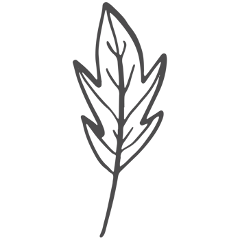 Sketche collection of woodland line png