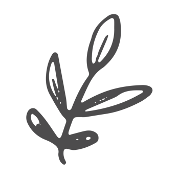 Sketche collection of woodland line png