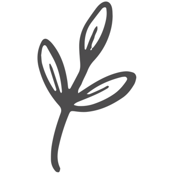 Sketched collection of woodland line png