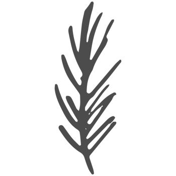 Sketched collection of woodland line png
