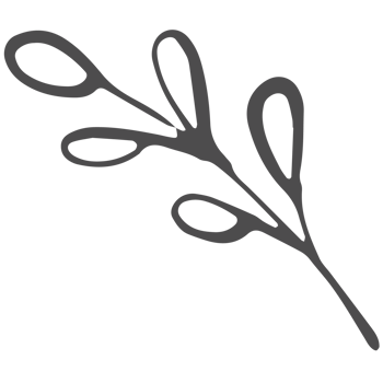 Sketched collection of woodland line png