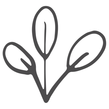 Sketched collection of woodland line png