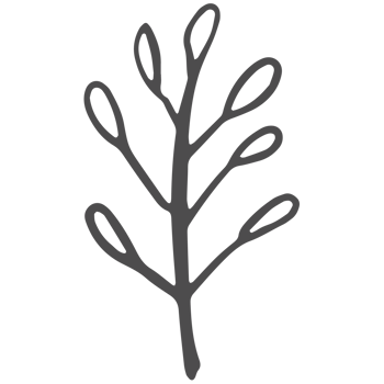 Sketched collection of woodland line png