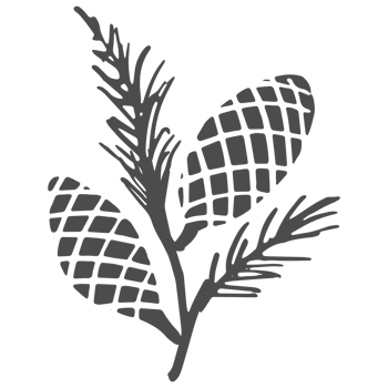 Sketched collection of woodland line png