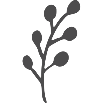 Sketched collection of woodland line png