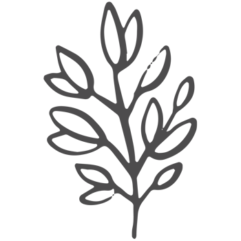 Sketched collection of woodland line png