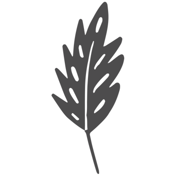 Sketched collection of woodland line png