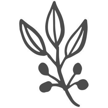Sketched collection of woodland line png