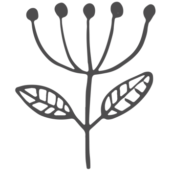 Sketched collection of woodland line png