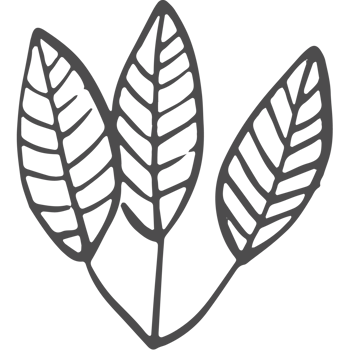 Sketched collection of woodland line png