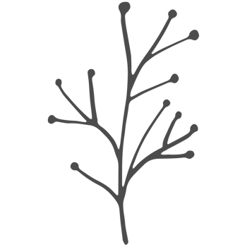 Sketched collection of woodland line png