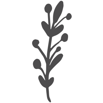 Sketched collection of woodland line png