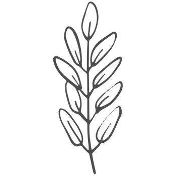 Sketched collection of woodland line png