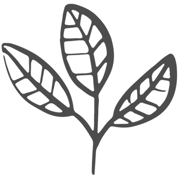 Sketched collection of woodland line png