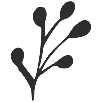 Sketche collection of woodland line. png
