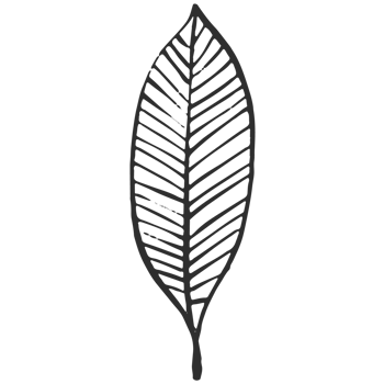 Sketche collection of woodland line. png