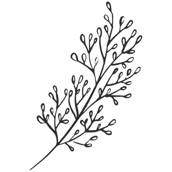 Sketche collection of woodland line. png