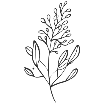 Sketche collection of woodland line. png