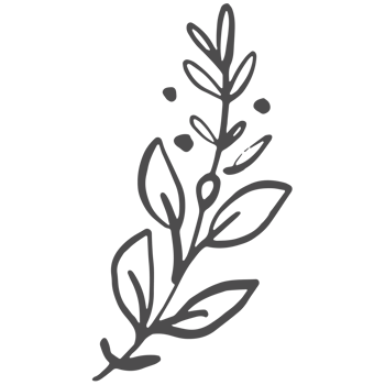 Sketche collection of woodland line. png