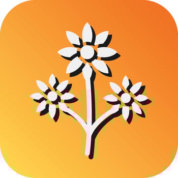 Flower Bouquet Vector Glyph Gradient Background Icon For Personal And Commercial Use.