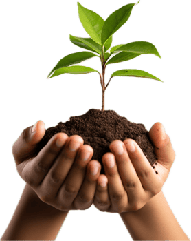 AI generated hands holding young plant sprout png
