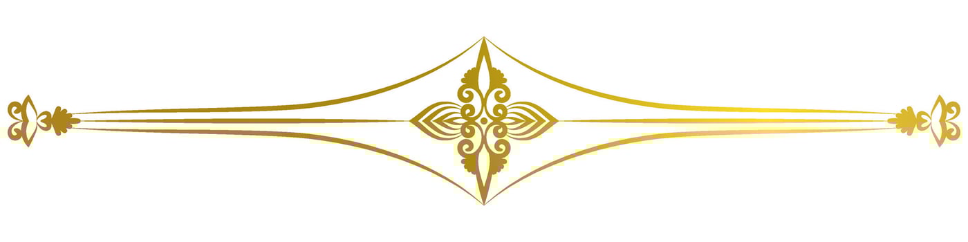 vintage lines decorative elements Golden flower border collection vector