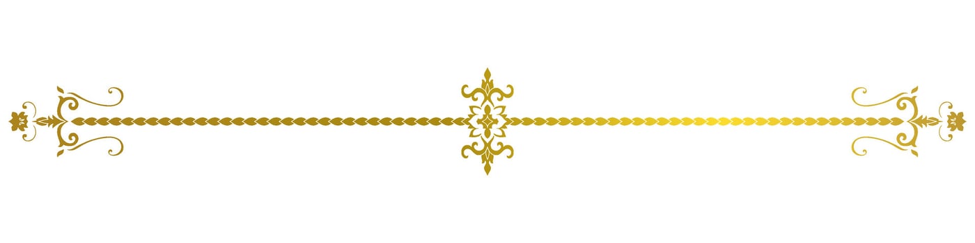 vintage lines decorative s Golden flower border collection vector
