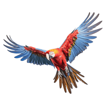AI generated Scarlet macaw parrot flying on transparent background png