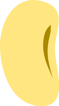 bean soy seed icon png