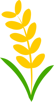 Rice doodle icon png