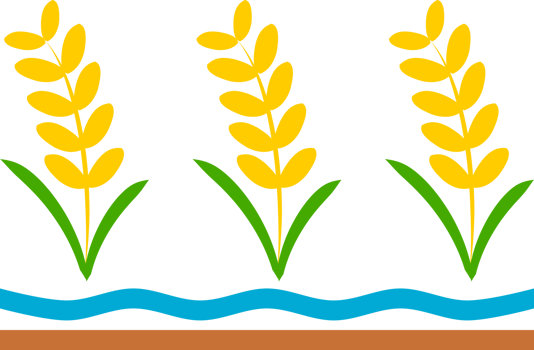 Rice doodle icon png