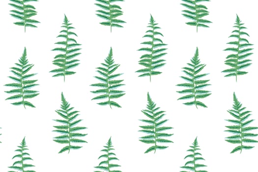 Seamless simple leaves fern pattern. Vector hand drawn abstract, artistic, silhouette organic stems leaf  print. Template for design, fabric, interior decor, textile, fashion, wallpaper