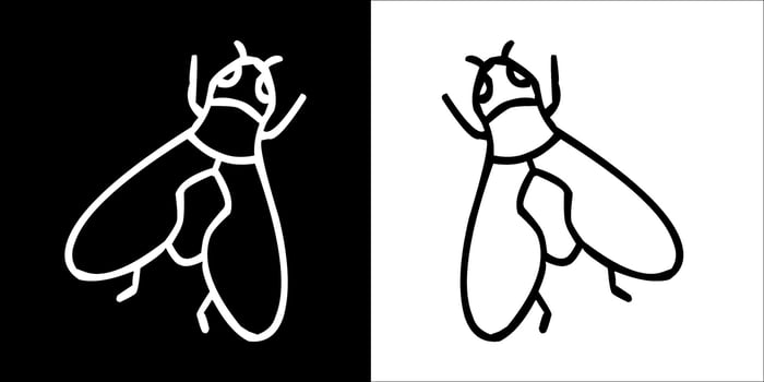 Illustration vector graphics of insect icon