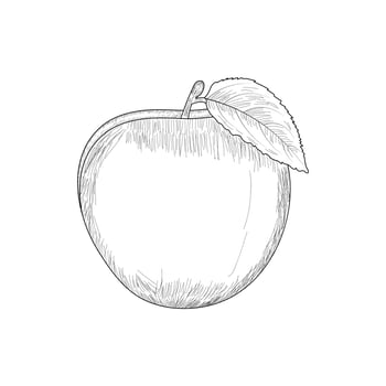 Apple Fruits Coloring Page For Kids vector