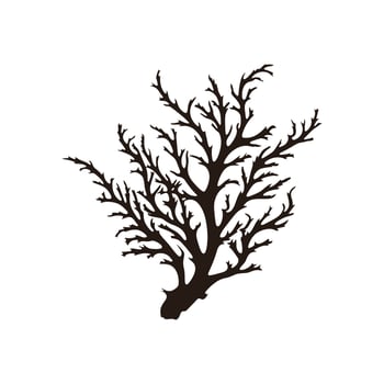 A Seaweed vector silhouette isolated on a white background, A silhouette of a Sea coral Vector