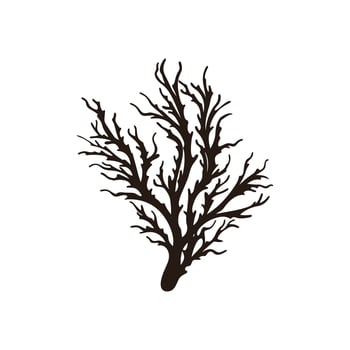 A Seaweed vector silhouette isolated on a white background, A silhouette of a Sea coral Vector