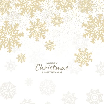 Merry Christmas festival decorative greeting card background vector
