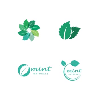 Mint leaves flat vector color icon template illustration design