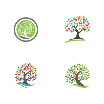 family tree logo template vector
