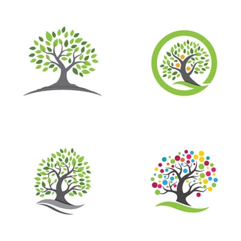 family tree logo template vector