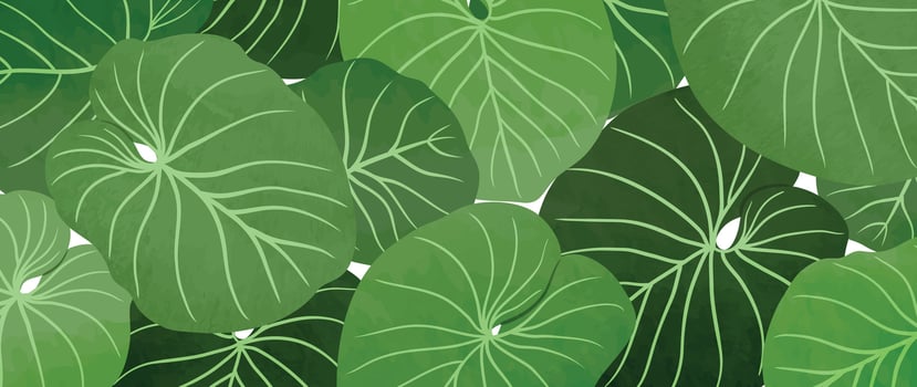 Abstract botanical art background vector. Natural hand drawn pattern design with leaves branch. Simple contemporary style illustrated Design for fabric, print, cover, banner, wallpaper. vector