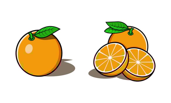Illustration vector graphic of orange.Fit for children's drawings, decorations, etc.