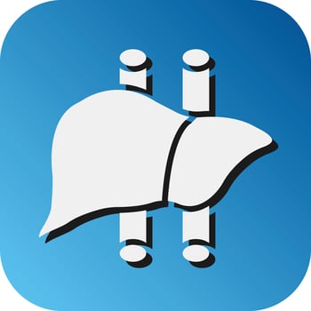 Liver Vector Glyph Gradient Background Icon For Personal And Commercial Use.