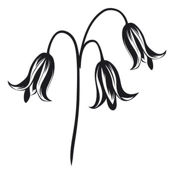 A Bluebell Flower Vector black Silhouette free