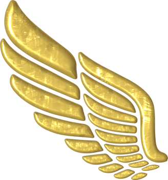 Golden wing illustration png