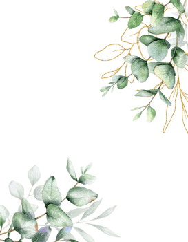 Eucalyptus Watercolor Frame. Eucalyptus Greenery Frame Hand Painted isolated on white background.  Perfect for wedding invitations, floral labels, bridal shower and  floral greeting cards png