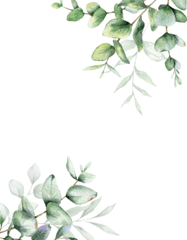 Eucalyptus Watercolor Frame. Eucalyptus Greenery Frame Hand Painted isolated on white background.  Perfect for wedding invitations, floral labels, bridal shower and  floral greeting cards png