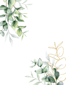Eucalyptus Watercolor Frame. Eucalyptus Greenery Frame Hand Painted isolated on white background.  Perfect for wedding invitations, floral labels, bridal shower and  floral greeting cards png